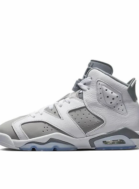 Jordan Air Jordan 6 Retro 舒适运动 防滑耐磨 高帮384665-100