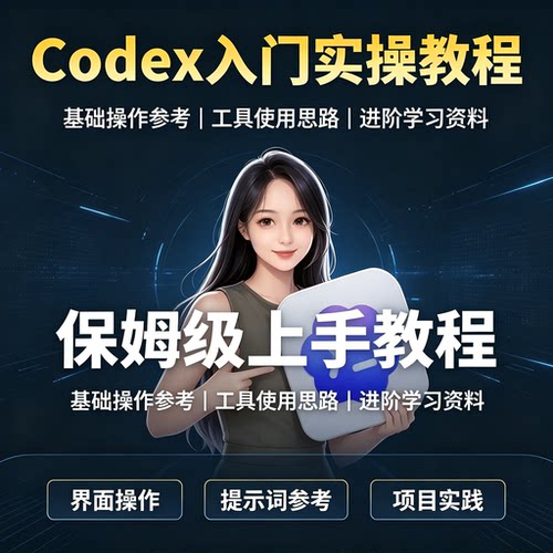 Codex工具保姆级实操教程文献撰写提示词套用进阶学习电子文档
