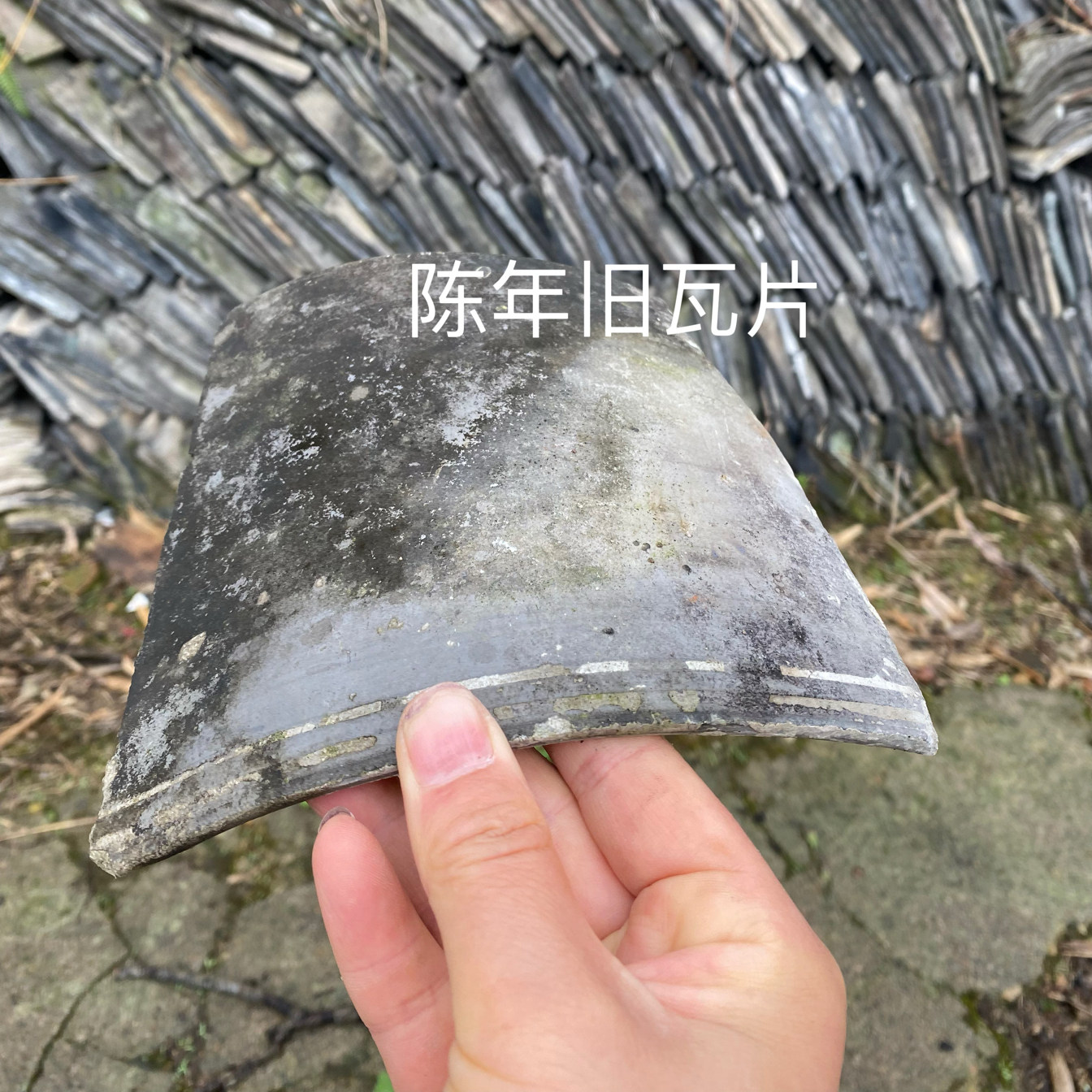 陈年瓦片土瓦片农村老房子小青瓦装饰造景老式怀旧屋面瓦屋顶泥土