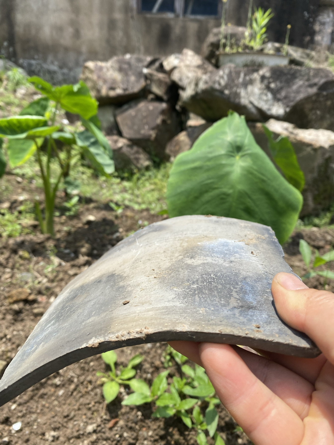 40年代农村瓦房土烧老瓦片屋顶防水小青瓦造景庭院复古烘培药材