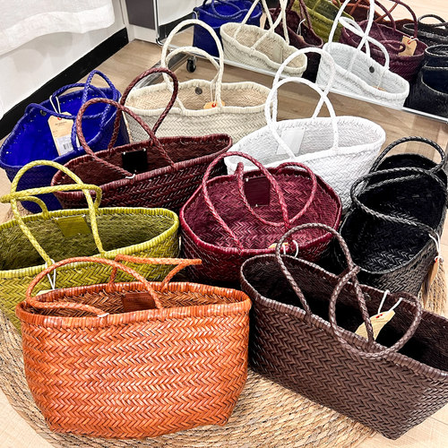 DragonDiffusion8811长柄