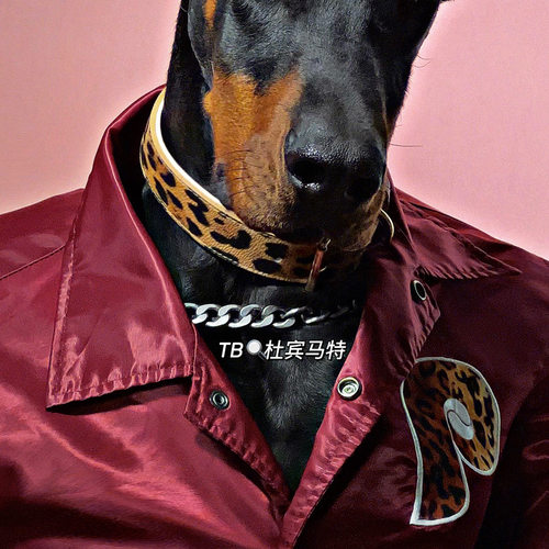 狗狗豹纹爱心项圈原创杜宾马特