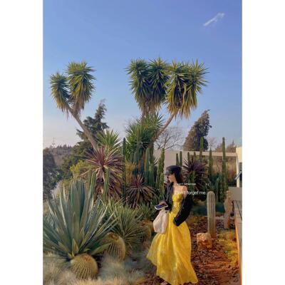 LISEYEN设计师原创手绘花色 日落法式柠檬连衣裙吊带 ZUI后几条