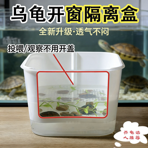 龟苗饲养套盒养龟神器,带苗神器分离龟粪便 便宜家用方便方形养龟