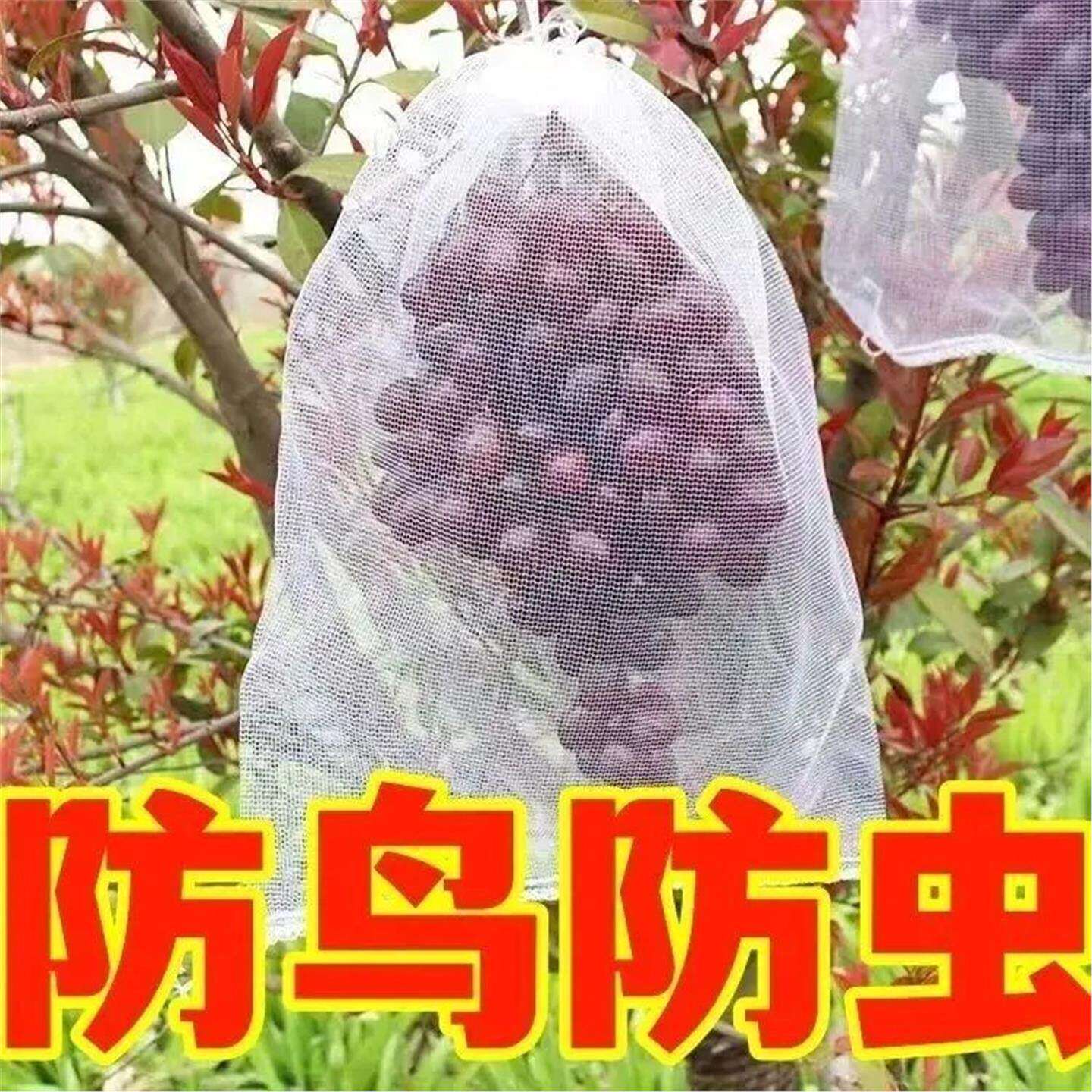 【100只！】自带抽绳葡萄水果果实套袋防虫防鸟透气不遮阳