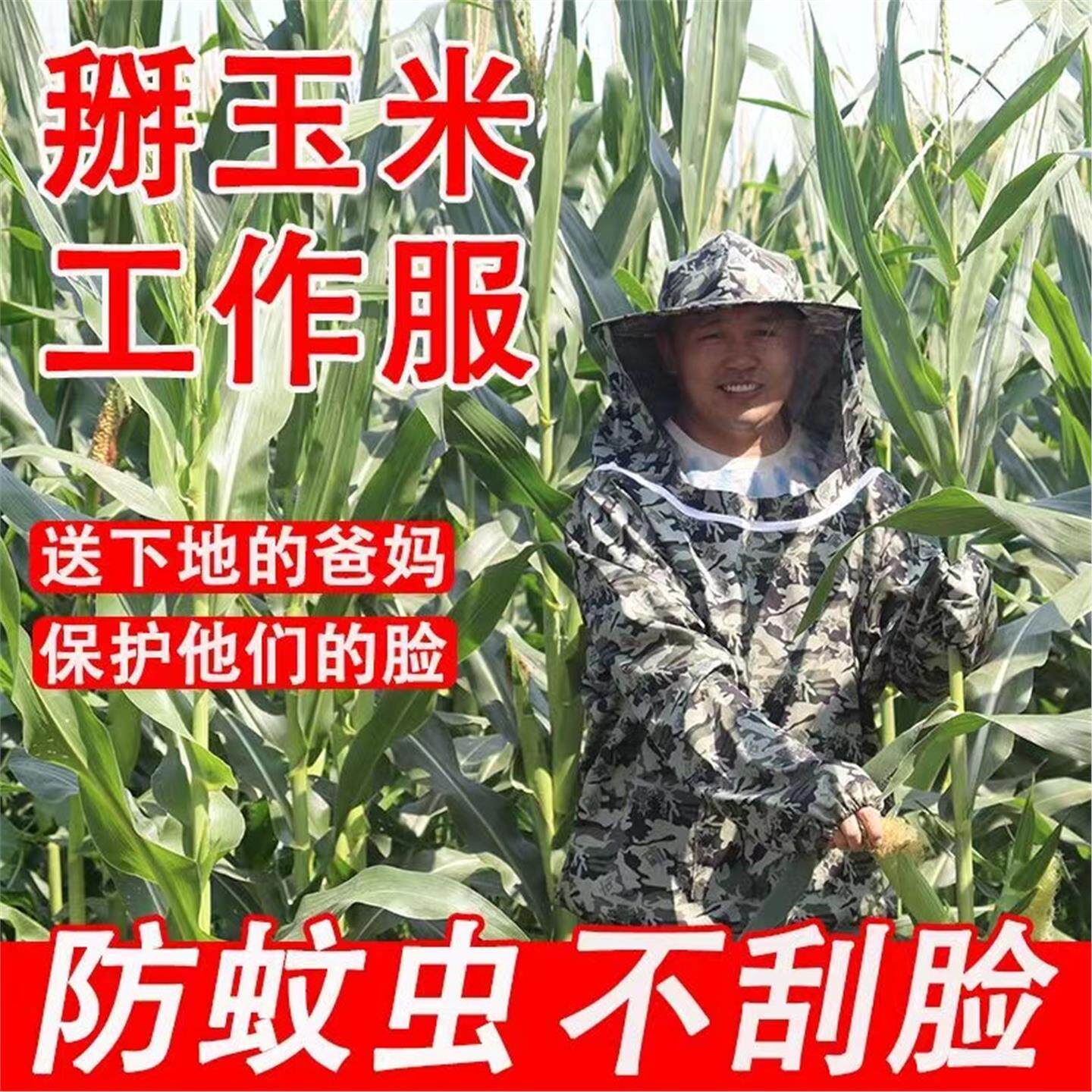 玉米防护服防刮脸掰玉米苞谷帽子下地干活专用 户外钓鱼防蚊帽图片