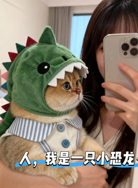 猫咪帽子绿色恐龙变装头