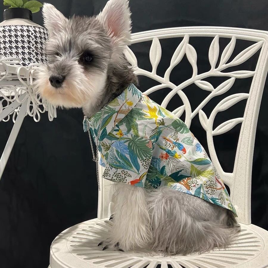 夏季薄款狗狗碎花网红衬图片