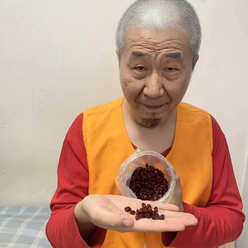 水熊阁 北五味子 当季新货 干净手选无杂 净重量300克