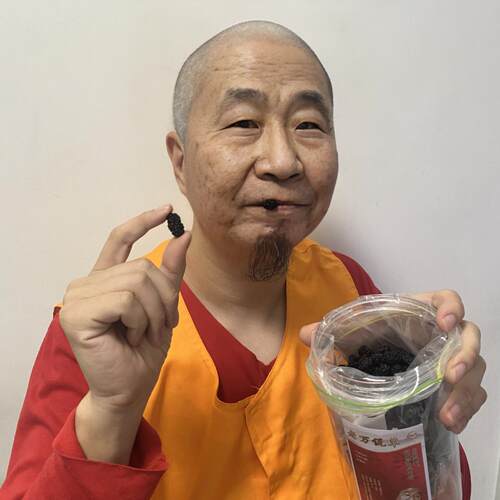 水熊阁 精选桑葚干 桑椹 净重量250克