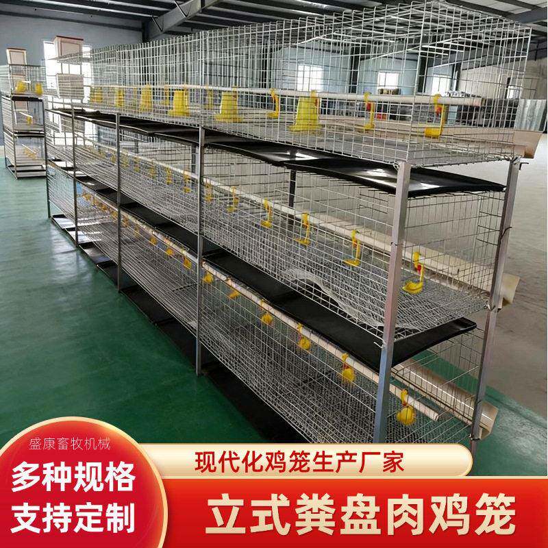立式粪盘肉鸡笼层叠式肉鸡养殖笼子热镀锌肉鸡养殖笼养殖设备厂家