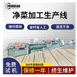 食品厂净菜加工设备叶类菜加工流水线大型商用果蔬无损清洗生产线