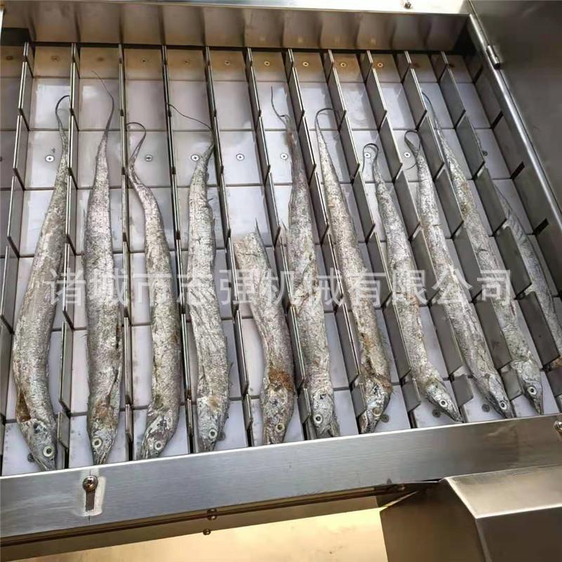 志强定制加工鲜带鱼切段机 烟台五香酥鱼罐头加工设备 刀鱼切段机