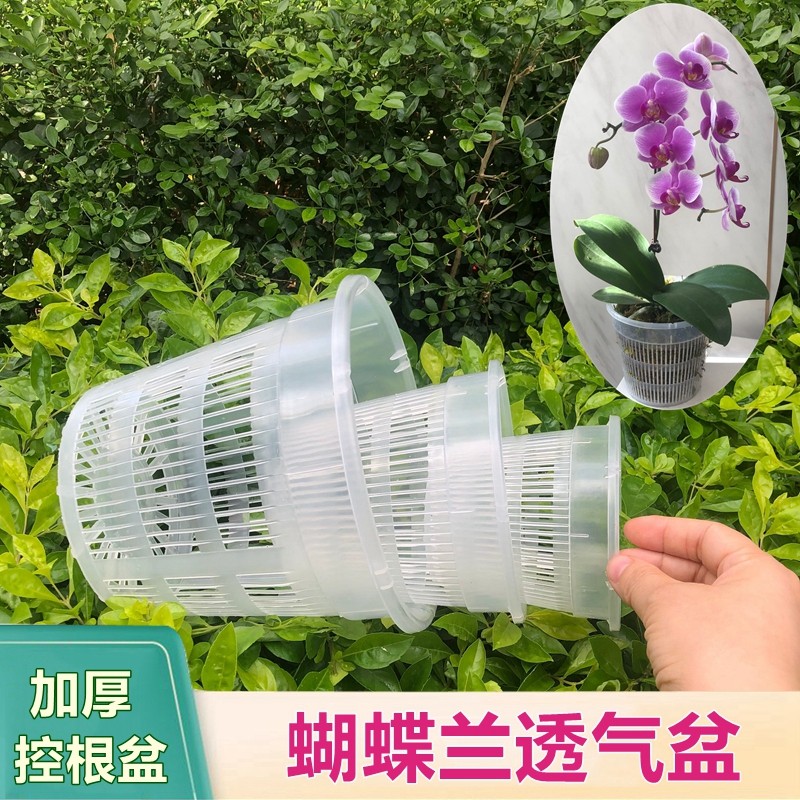 加厚PP塑脂塑料花盆绿萝蝴蝶兰花盆