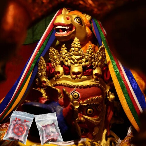 西藏色拉杰扎仓马头明王香粒一包大颗粒约14颗拉萨直发正品