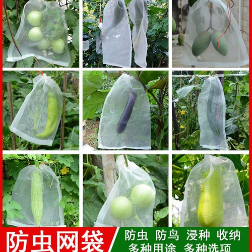 Сетка для защиты от насекомых, сумка для защиты от насекомых, защита от дыни и фруктовых мух, сумка для защиты от птиц, фильтр, упаковка для грейпфрута, пропитанная семенами, нейлоновая сетчатая сумка