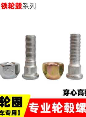 适用于丰田威驰五菱花冠轩逸比亚迪F3轮毂铁圈螺母铁钢圈轮胎螺丝