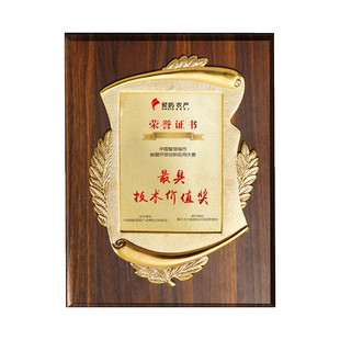 木质奖牌定制高档荣誉证书相框授权牌牌匾金箔奖牌木托定做聘书结业捐赠收藏获奖证书志愿者感谢信裱框制作