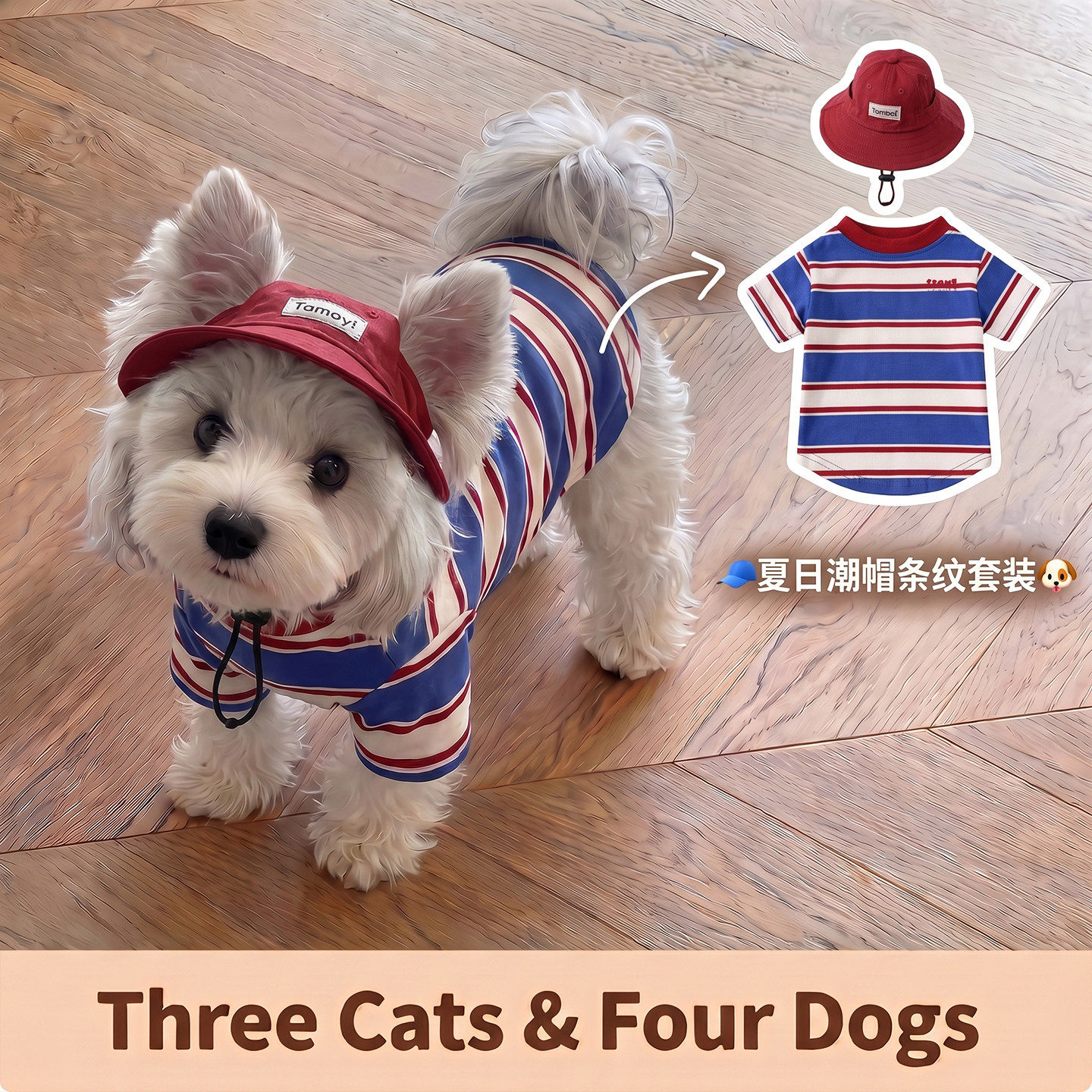 狗狗衣服夏季薄款猫咪条纹背心空调服小型犬雪纳瑞比熊防晒帽子