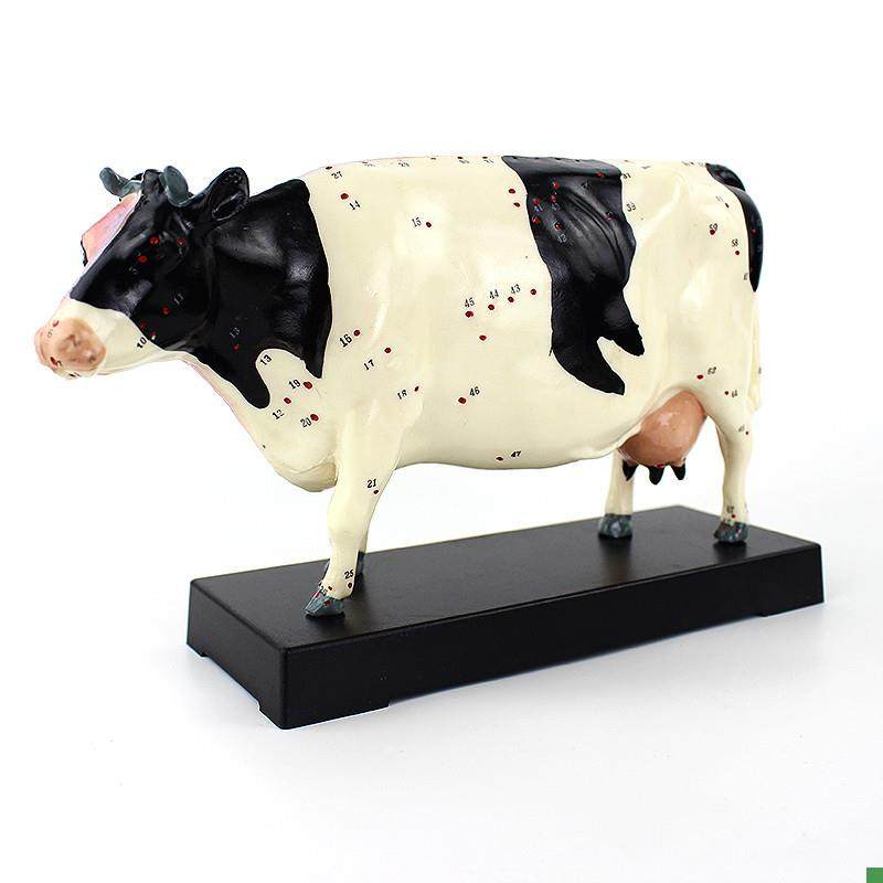 ENOVO颐诺牛针灸p穴位模型物解剖模型宠物模型生物畜牧教学针灸,文具电教/文化用品/商务用品,教学标本/模型,淘宝优惠券,粉丝福利购,淘宝优惠卷