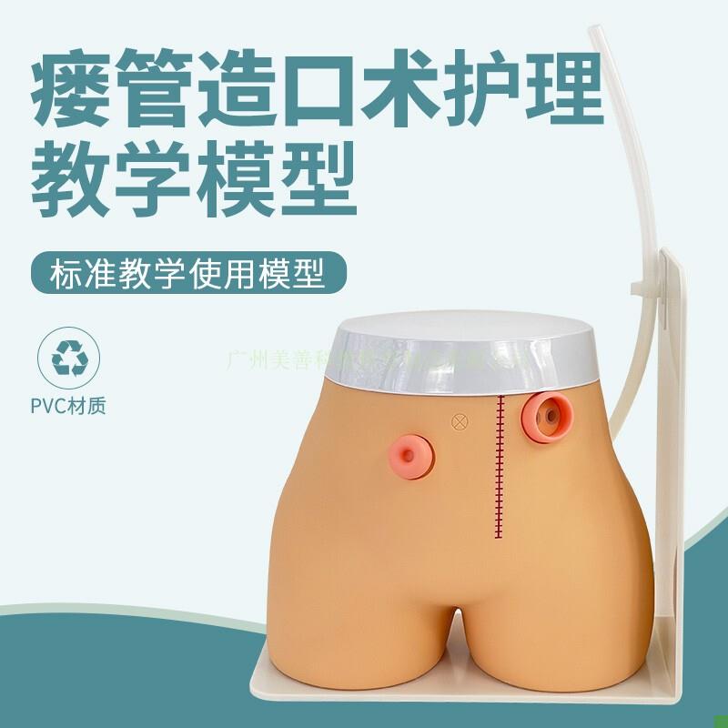 造口模型高级瘘管造口术护理模C型结肠回肠造瘘教学模型造口冲