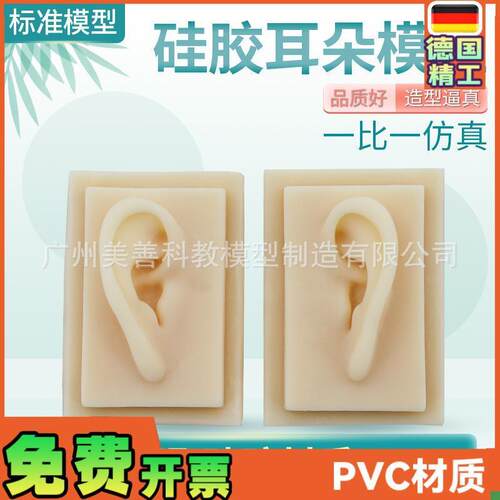 成人11仿真耳朵m模型人体耳朵耳膜型硅胶针灸耳朵(右耳)