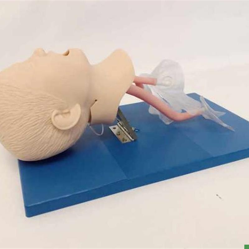 儿童气管d插管训练模型小儿气道插管急救教学模型