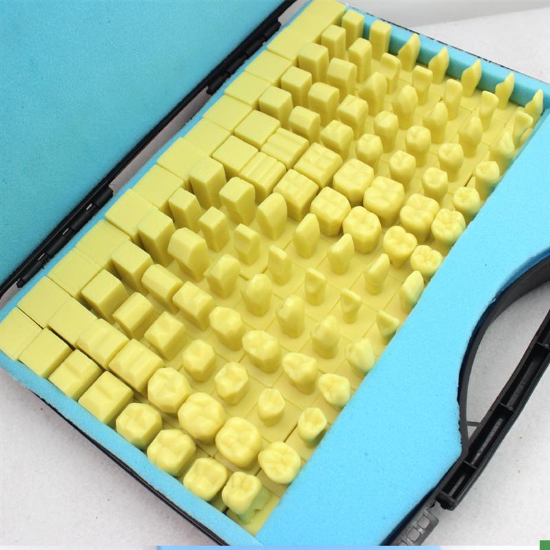 ENOVO颐诺全口牙雕牙练习指导模型雕牙步骤口腔T科牙医齿科模型口