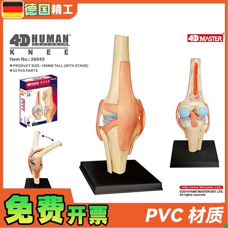 德国】4DMASTER人体膝关节模型可拆小型关节解T剖可弯曲骨科教学
