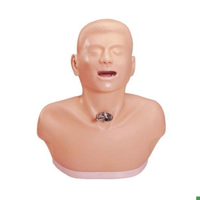 高级成人气管切开护理模型t气管切开护理操作模型教学模型医用模