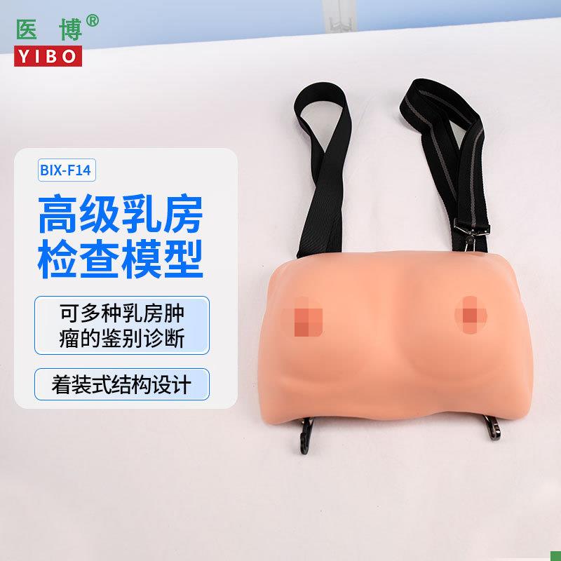 医博BIX-F14高级穿戴式s乳房检查教学演示模型女性乳房病变触诊教