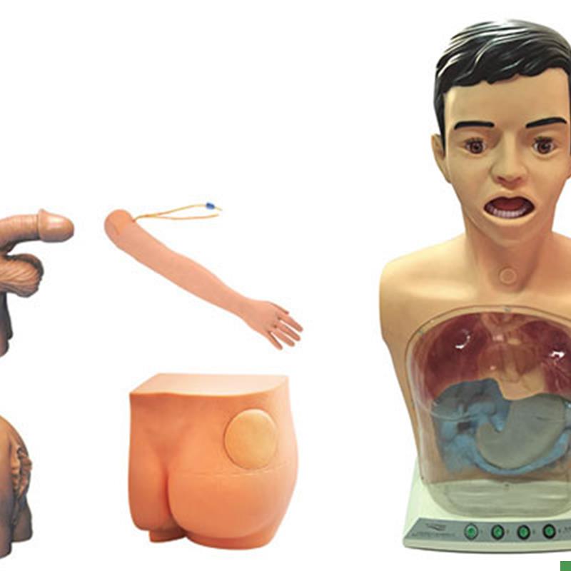 教学模型护理培训练习新型基础护理实习操作S模型(五部件)