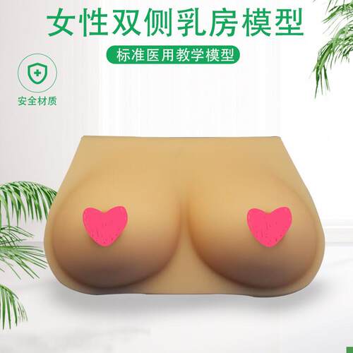 女性乳房模型双侧义乳人体仿真硅胶乳G房催乳师培训教学教具医院