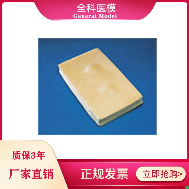 脂肪瘤切除术练习模块