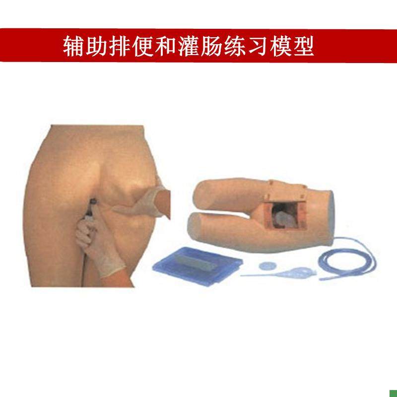 辅助排便和灌肠练习模r型医院培训护士训练模型肛门检查模型