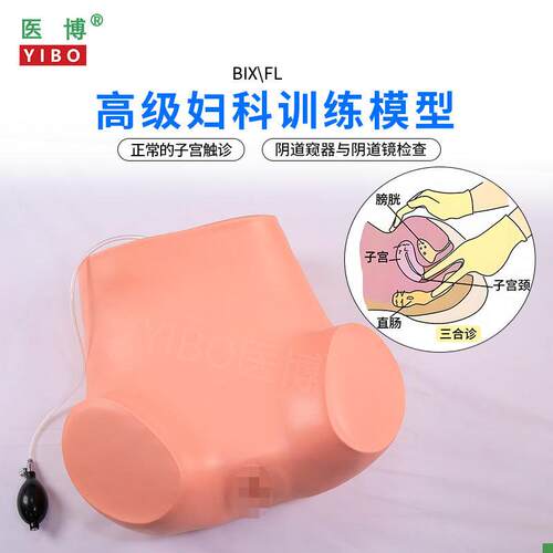 医博BIX-Fli高级妇科检查训练模型仿真子宫触诊练习检查模型医学