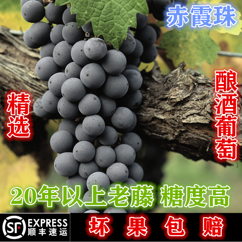 佰特庄园怀来酿酒葡萄自酿160元40斤红葡萄紫葡萄赤霞珠DIY干红|msdalam kategori daging perikanan/Buah-buahan segar dan sayur-sayuran/dimasak, buah-buahan segar, Grape/Raisin - dari Buy2taobao.com untuk memberikan perkhidmatan ejen Taobao profesional membeli