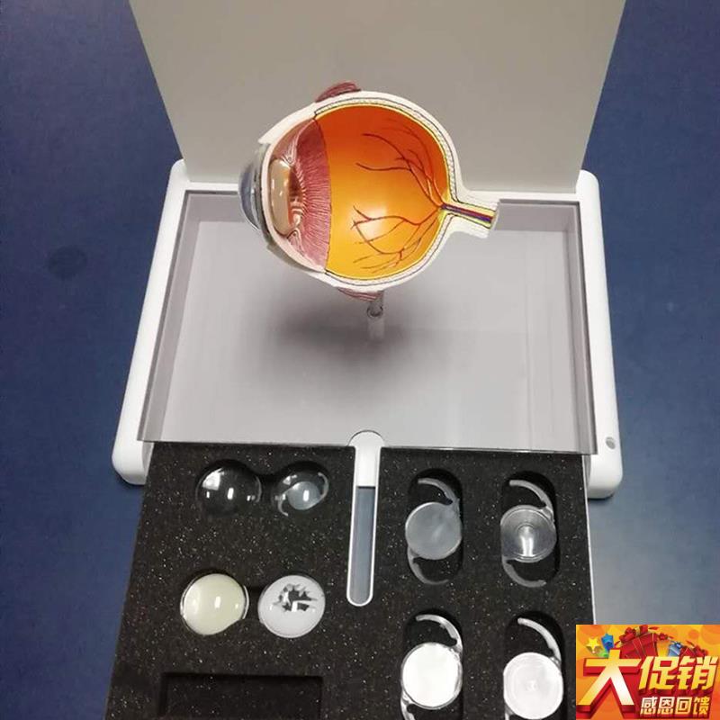 眼睛模型 晶片虹膜器官解剖白内障H光学教仪医用医学教学教具