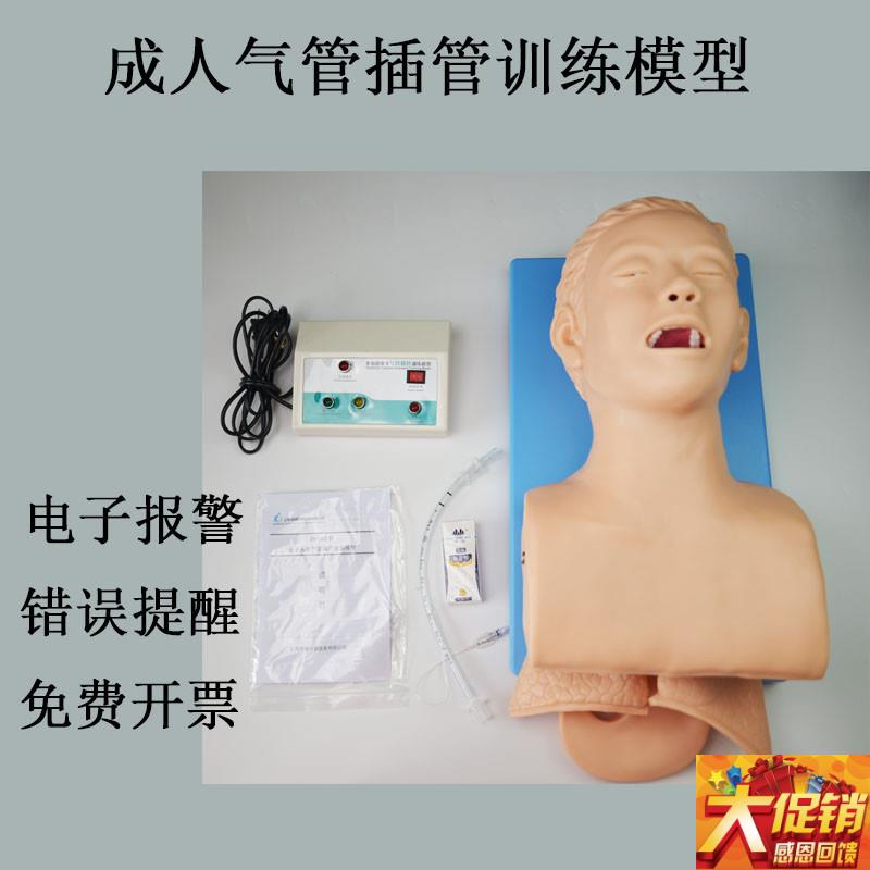 实训人体气管插管训练模型 带电子牙齿报警 成人急U救训练教学模