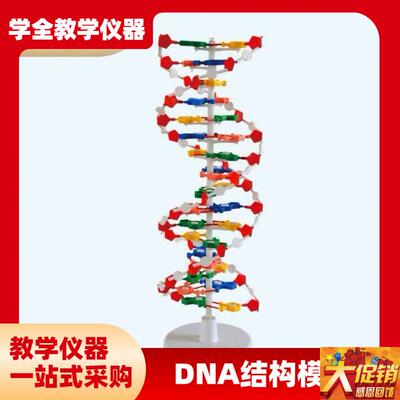 DNA双螺旋结构模型组件J33306高中学生用生物实验器材dYna教学仪