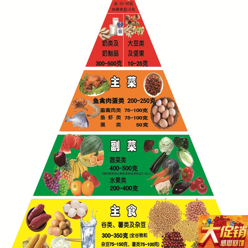 哺乳期妇a女膳食宝塔模型 孕妇膳食宝塔模型乳母产妇膳食指导模型
