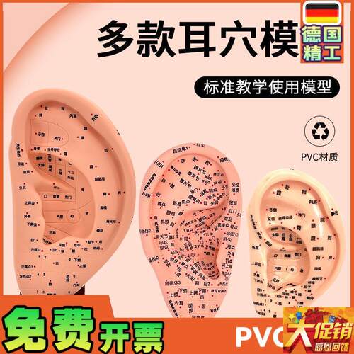 超清晰经络通人体针灸穴位模型B针灸耳针穴模型耳模16cm耳朵