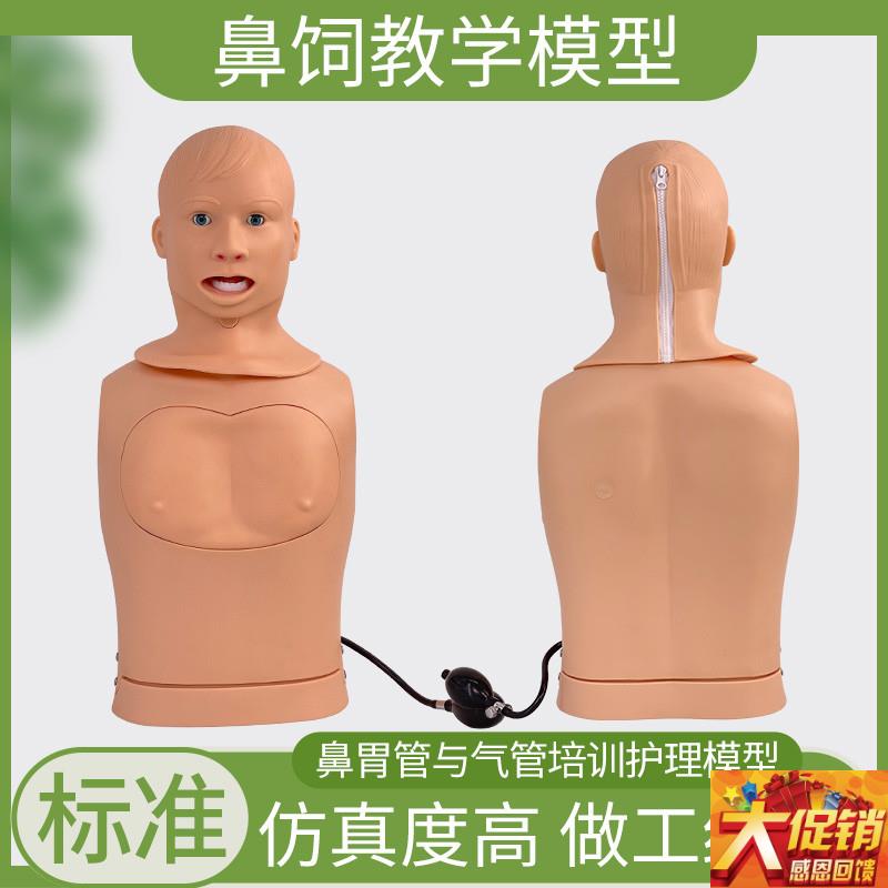 高级鼻胃管与气管护理模型 鼻胃管护理H模型 鼻饲模型 护理教学