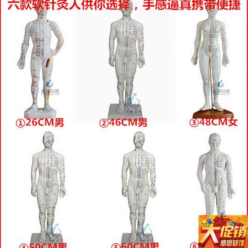 超清人体针灸穴位模型经络通铜人刻字中医教学人体模Y型男女小人
