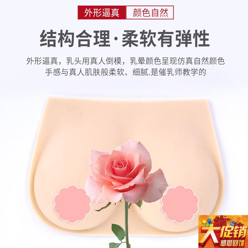催乳师教具 女性乳房模型 硅胶乳房模型 催N乳师培训医学用假乳房