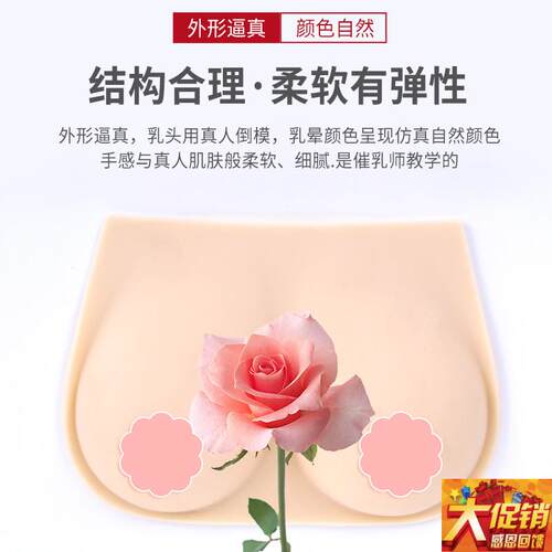 催乳师教具 女性乳房模型 硅胶乳房模型 催N乳师培训医学用假乳房
