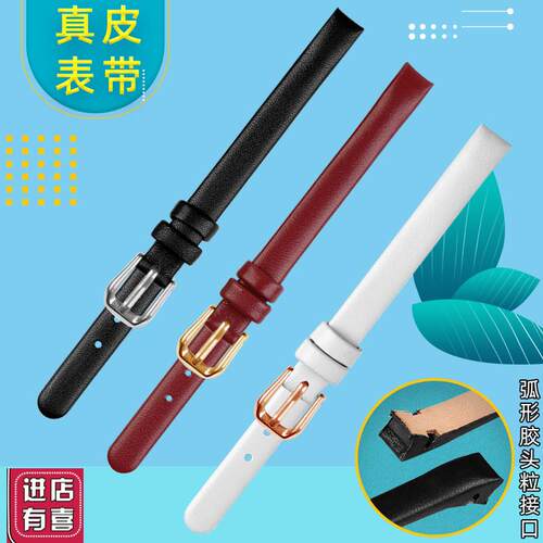 适配女士小号表链适配CK表带K8P236C1 K8P231C1 K8P231L6/L6 K8P2