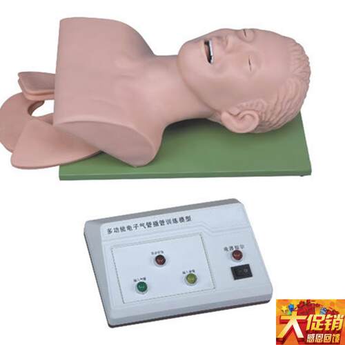 电子人体气管插管训练模型气管插管模型P成人气管插管模型