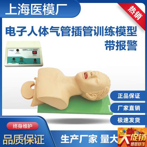气管插管练习训练模型人体气管F插管训练模型5S带报警型