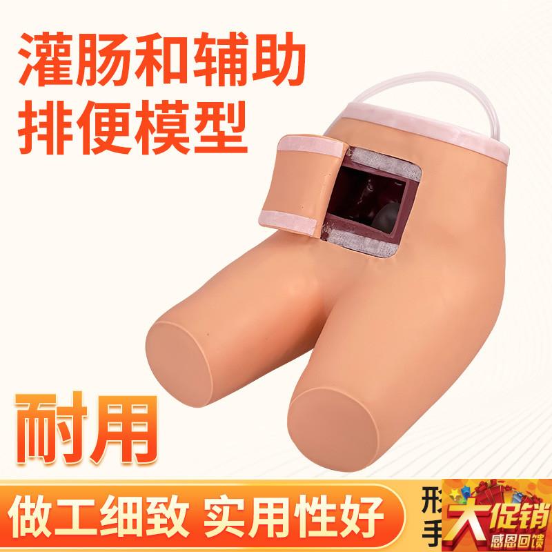 灌肠模型c 辅助排便和灌肠训练习模型 医学用灌肠排便教学模型人